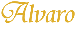 catalog/pa_equip/Alvaro Logo.png